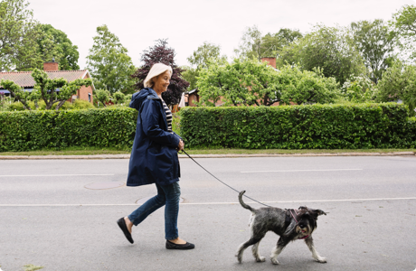 older woman with white hair walking gray dog down the street